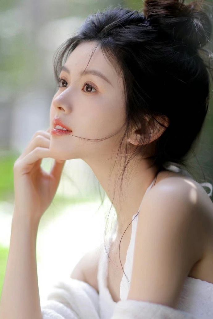 风骚律师