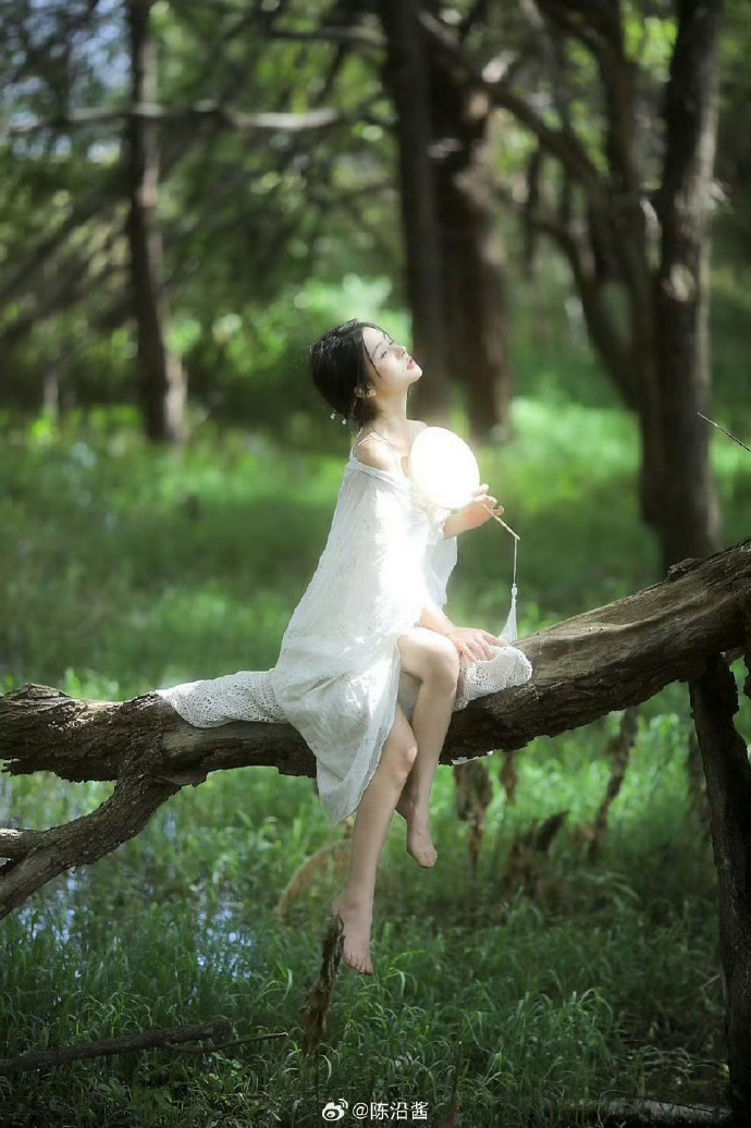 闻香识女人 封面