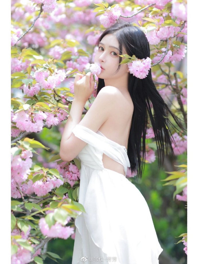 小偷家族
